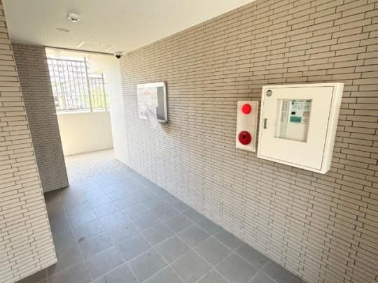 �y�����O�ρz�@���r�[