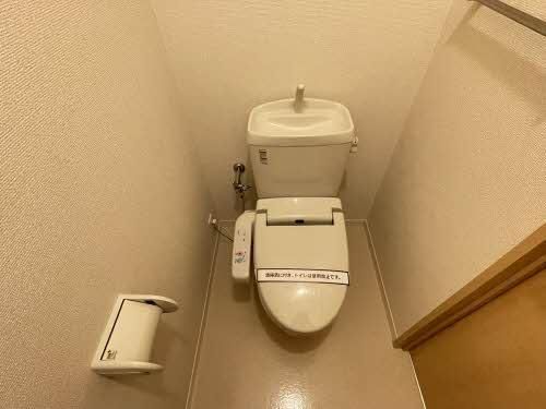 �y���̑��z�@�g�C��