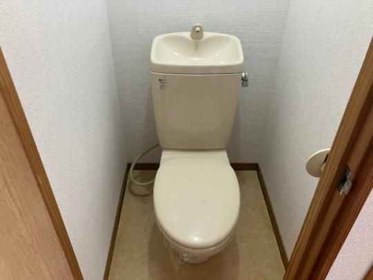 �y���̑��z�@�g�C��