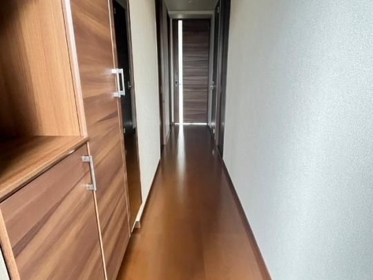 �y���̑��z�@����