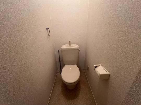�y���̑��z�@�g�C��