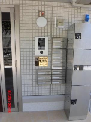 �y�����O�ρz�@�G���g�����X