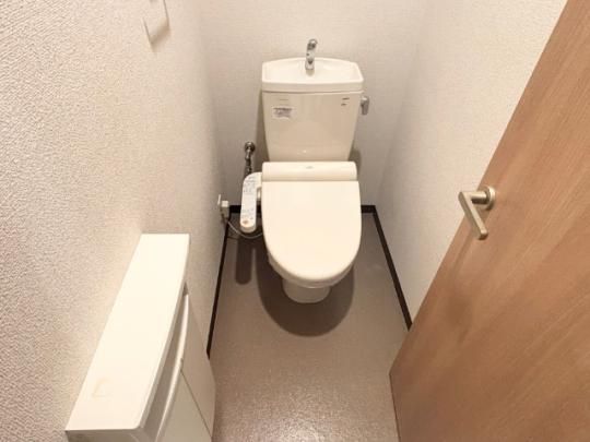 �y���̑��z�@�g�C��