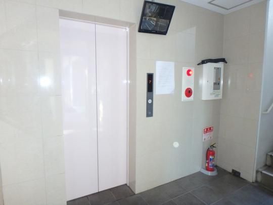 �y�����O�ρz�@���r�[