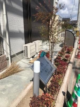 �y�����O�ρz�@�O�ώʐ^�i���j