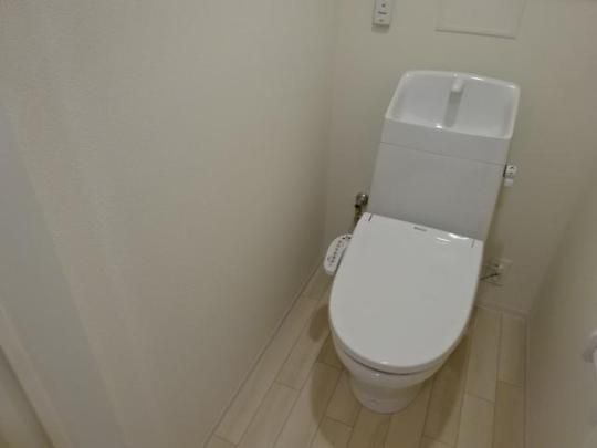 �y���̑��z�@�V�����[�t�g�C���i�C���[�W�j