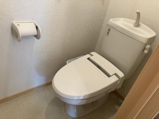 �y���̑��z�@�g�C��