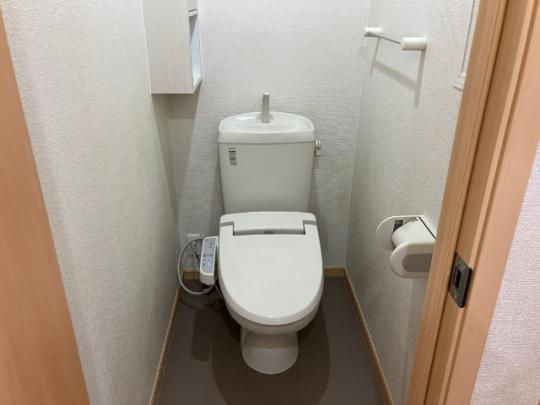 �y���̑��z�@�g�C��