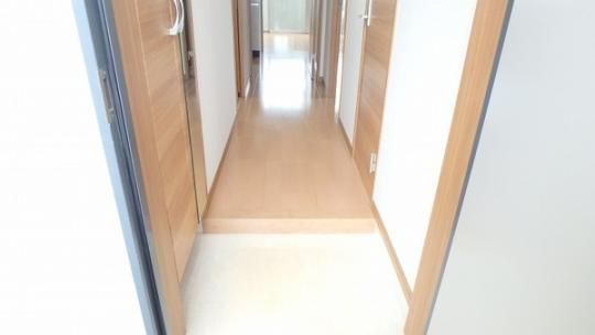 �y���̑��z�@����