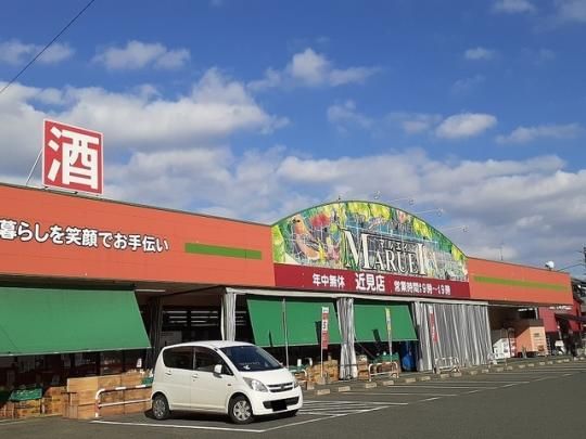 �y���Ӂz�@�}���G�C�ߌ��X�F550m