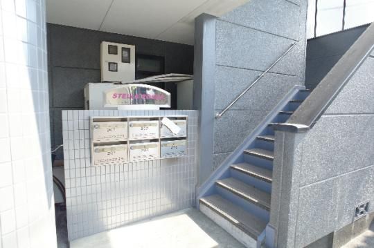 �y�����O�ρz�@�G���g�����X