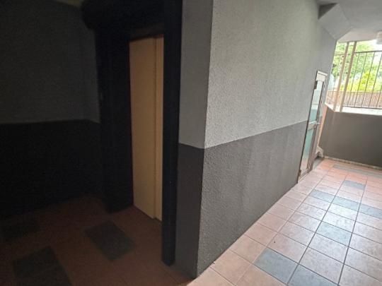 �y�����O�ρz�@���r�[