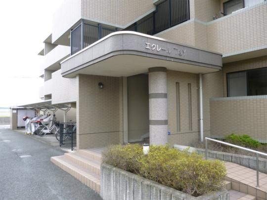 �y�����O�ρz�@�G���g�����X