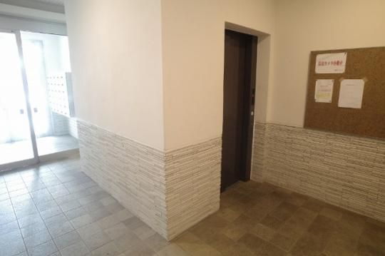 �y�����O�ρz�@���r�[