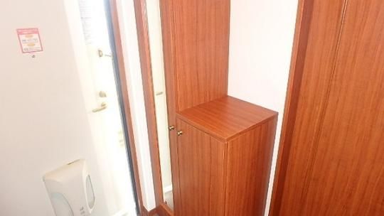 �y���̑��z�@���^�^�C�v�������D��