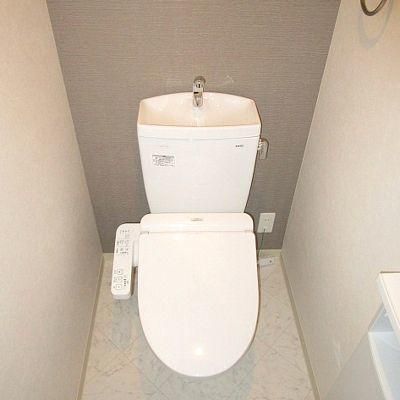 �y���̑��z�@�g�C��