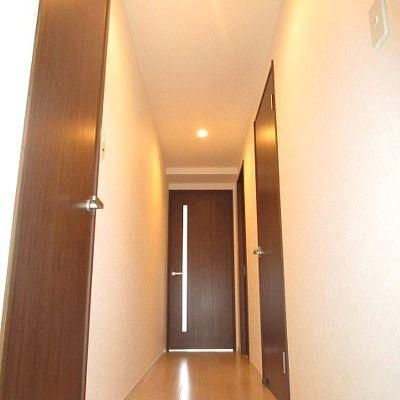 �y���̑��z�@����