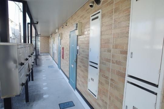 �y�����O�ρz�@�G���g�����X