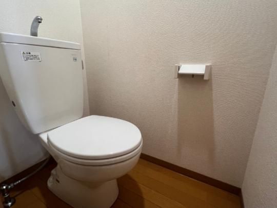 �y���̑��z�@�g�C��
