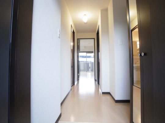 �y���̑��z�@�����^�^�C�v�Q��