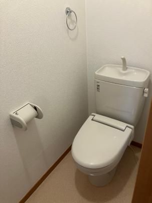 �y���̑��z�@�g�C��