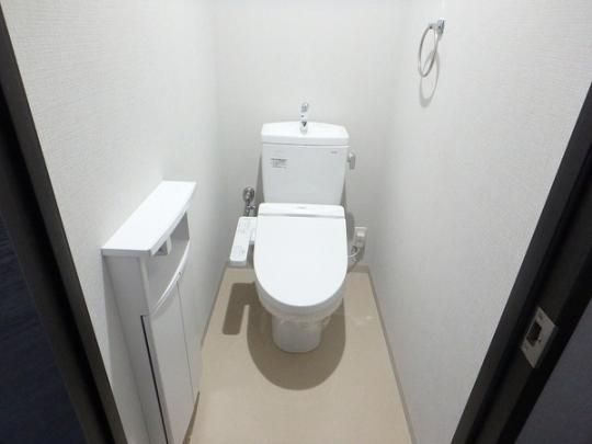 �y���̑��z�@���^���f��
