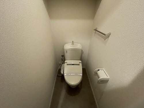 �y���̑��z�@�g�C��