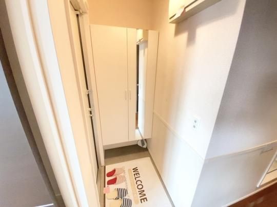 �y���̑��z�@202����