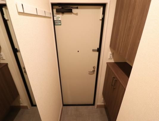 �y���̑��z�@203�@����