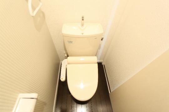 �y���̑��z�@�g�C��