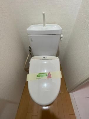 �y���̑��z�@�g�C��