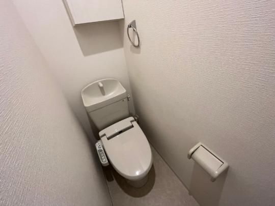 �y���̑��z�@���ʐ^��203�����ł��B