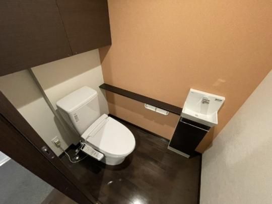 �y���̑��z�@�g�C��