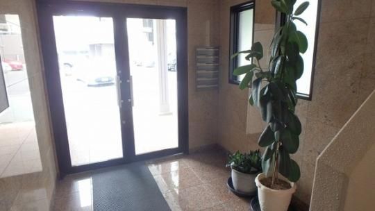 �y�����O�ρz�@���r�[