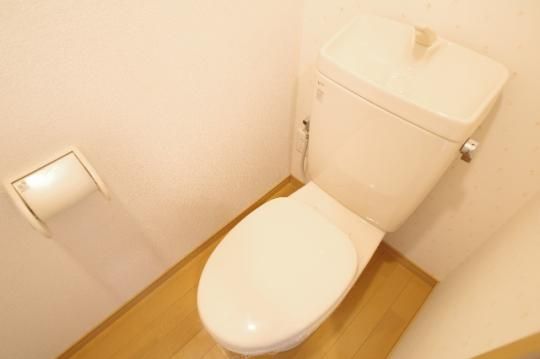 �y���̑��z�@�g�C��