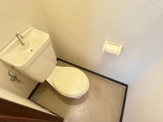 �y���̑��z�@�g�C��