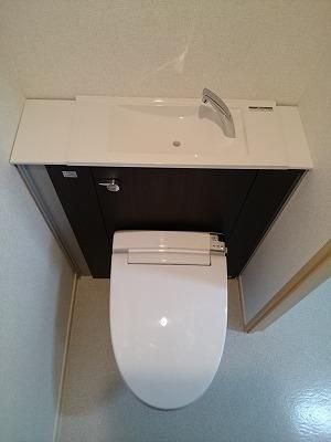 �y���̑��z�@�g�C��