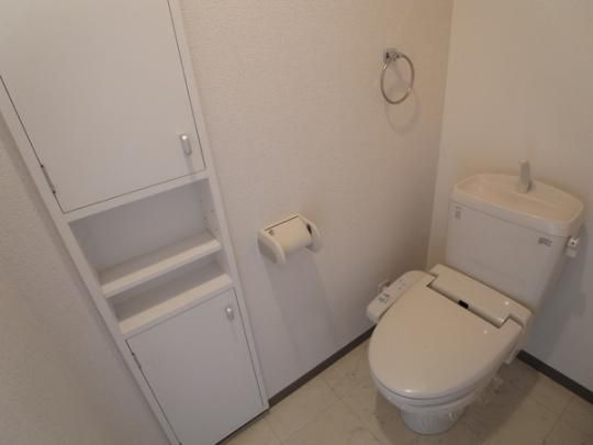 �y���̑��z�@�g�C��