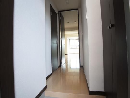 �y���̑��z�@���^���f��