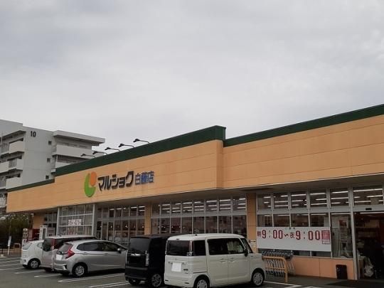 �y���Ӂz�@�}���V���N�����X�F490m