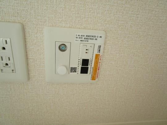 �y���̑��z�@DU-NET