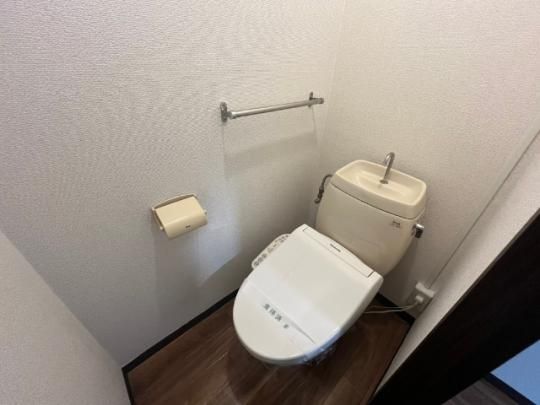 �y���̑��z�@�g�C��