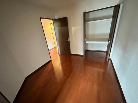 �y���̑��z�@���^�^�C�v