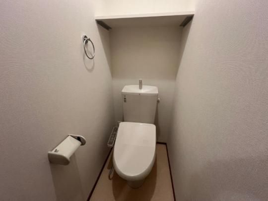 �y���̑��z�@�g�C��