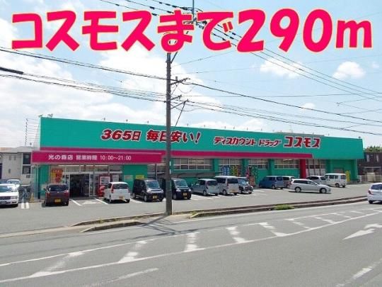 �y���Ӂz�@�R�X���X���̐X�X�F290m