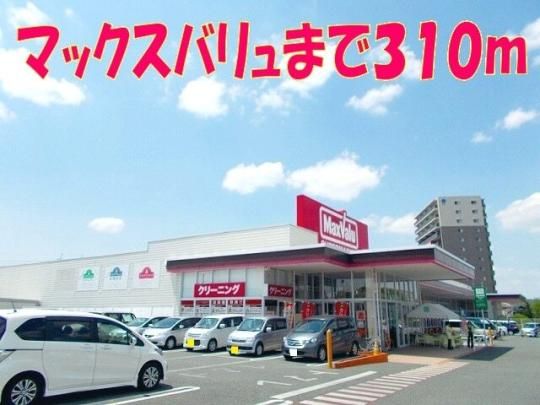 �y���Ӂz�@�}�b�N�X�o�������̐X�X�F310m