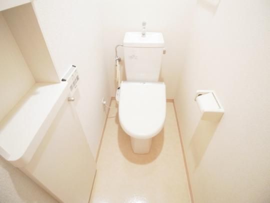 �y���̑��z�@�g�C��
