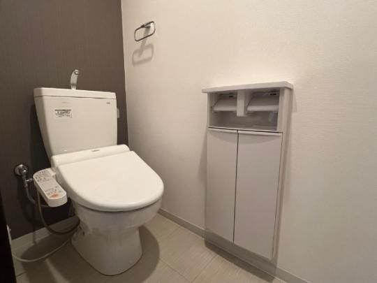 �y���̑��z�@�g�C��