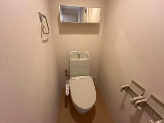 �y���̑��z�@�g�C��