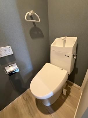 �y���̑��z�@�g�C��